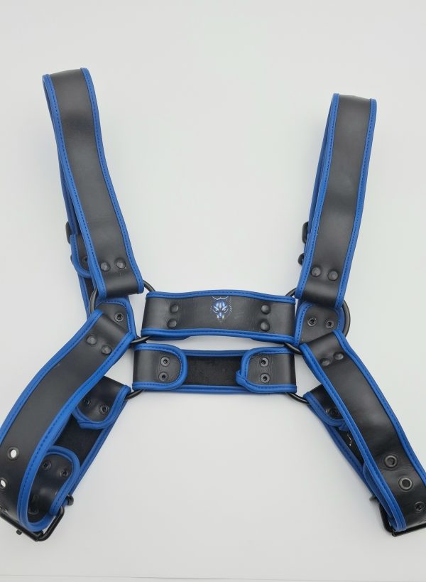 Harnais en cuir noir avec liseré bleu, logo G.W.F centré, posé à plat, vue de face.