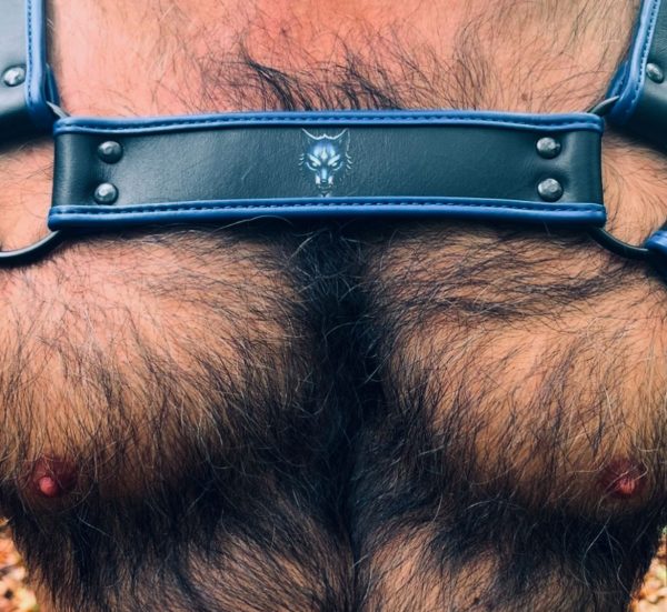 🐺Harnais G.W.F Noir & Bleu – Image 3