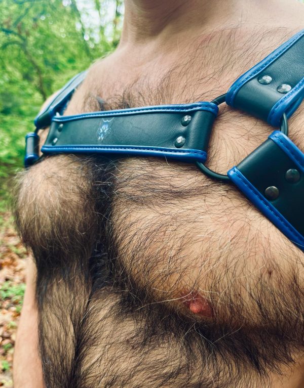 Gros plan latéral sur le harnais G.W.F noir à liseré bleu porté sur un torse velu, avec le logo tête de loup visible