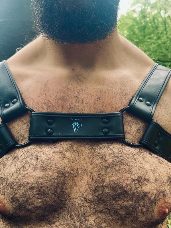 Mec de la meute, Harnais noir G.W.F porté sur un torse velu, vue frontale avec logo tête de loup visible, forêt en arrière-plan